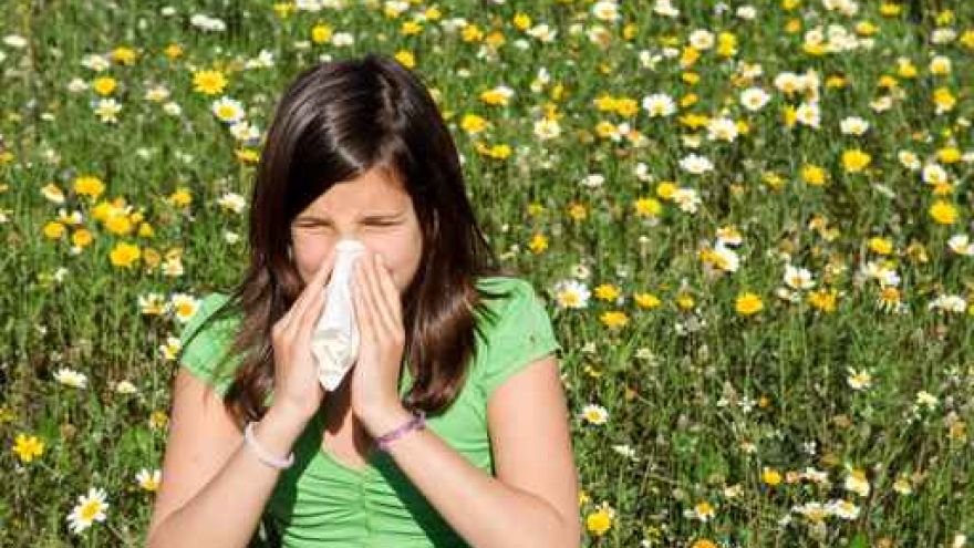 Alergeny Sezon na alergię