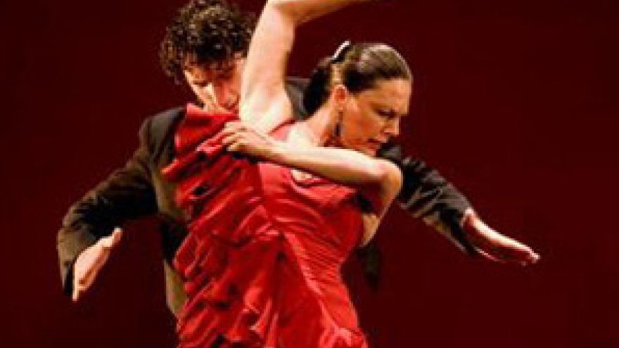 Flamenco Gorące flamenco w Krakowie