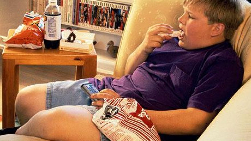 Nawyki żywieniowe dzieci Niska świadomość zdrowotnych konsekwencji otyłości