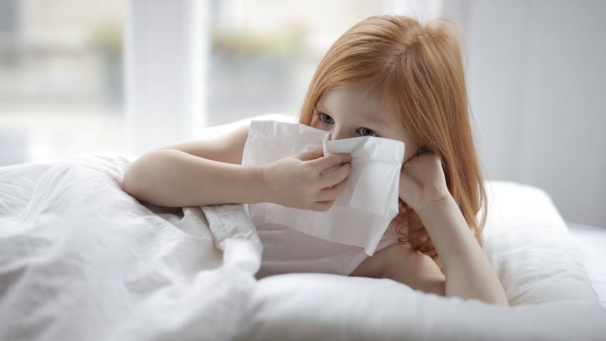 Przedszkole Przeziębienie, czy już grypa? Jak zapobiegać infekcjom w przedszkolu i szkole od… kuchni