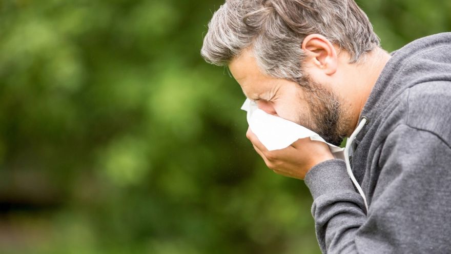 Alergia Świadomy czy spontaniczny - sprawdź, jakim typem alergika jesteś