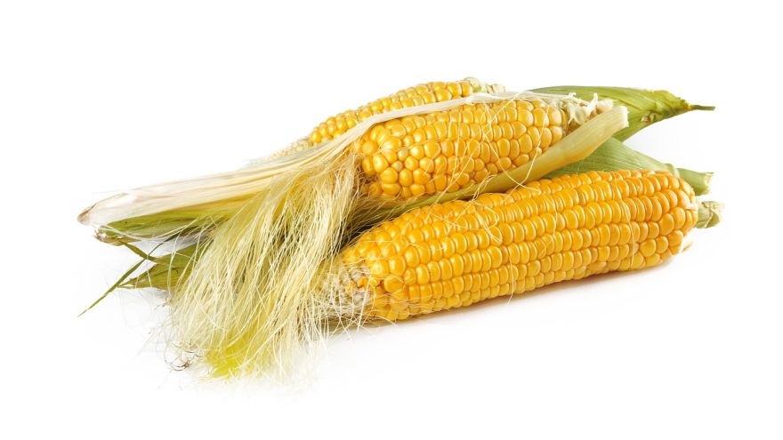 Składniki Kukurydza - ważny składnik diety