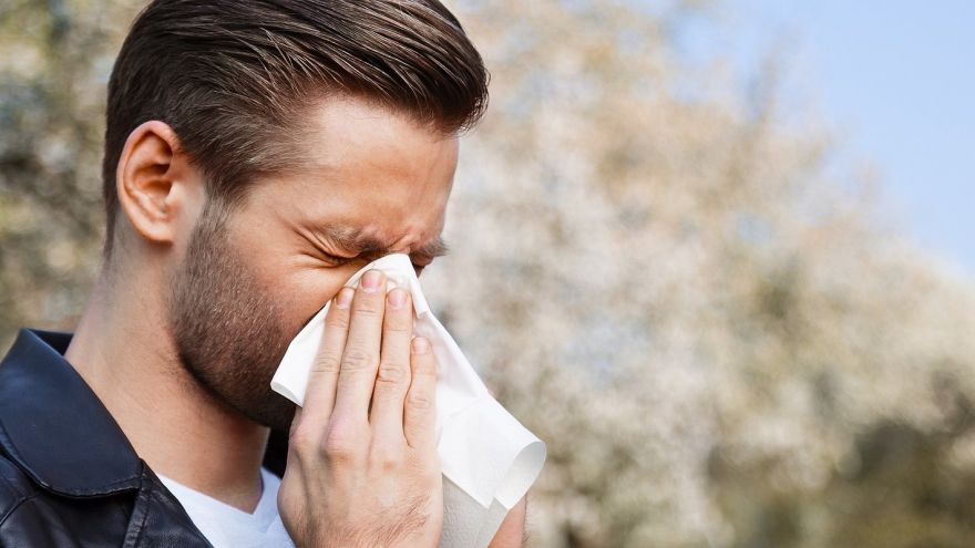 Zdrowie Mity dotyczące alergii - sprawdź, czy ich nie powielasz
