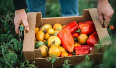 Na tropie „ekościemy”, czyli jak rozpoznać, które produkty są naprawdę eko