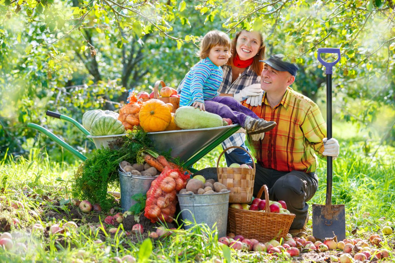 Światowy Dzień Owoców i Warzyw! - Świętuj codziennie