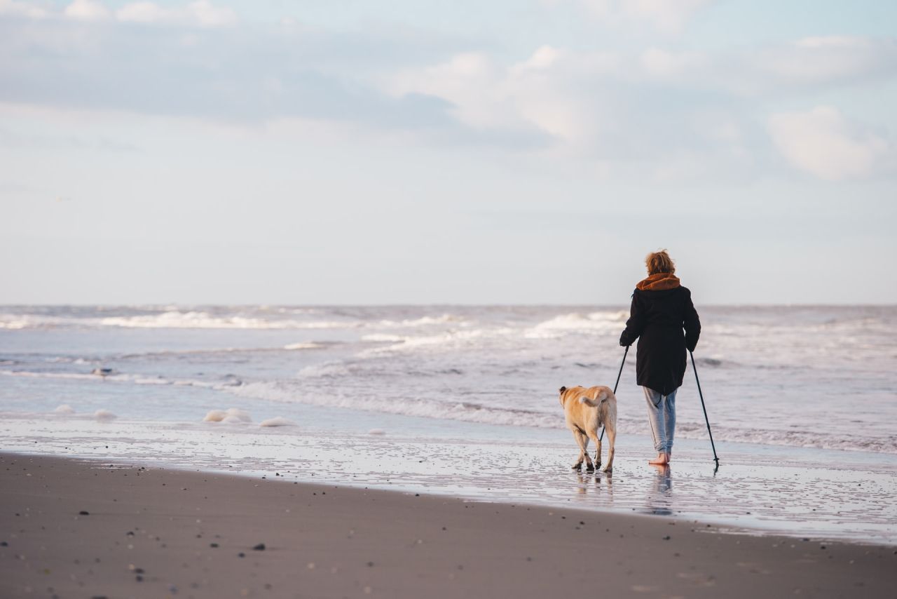 Nordic Walking - Idealny trening na jesień?