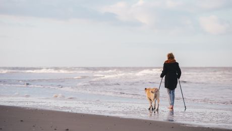 Nordic Walking - Idealny trening na jesień?