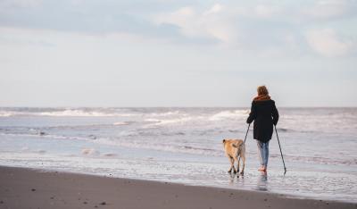 Nordic Walking - Idealny trening na jesień?