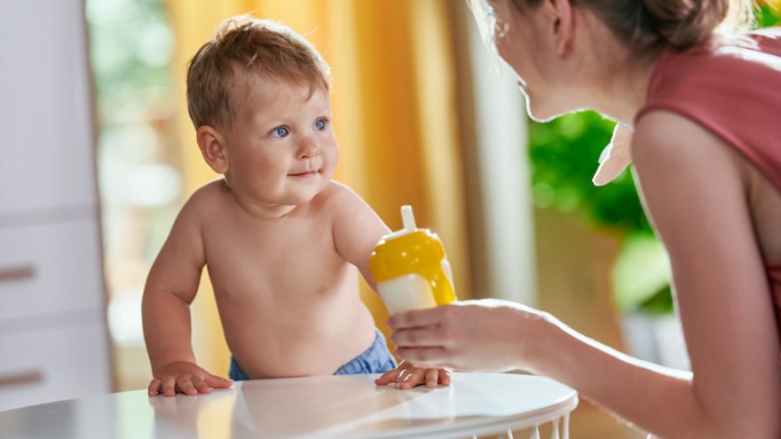 Dieta dziecka 6 zasad komponowania prawidłowej diety rocznego dziecka