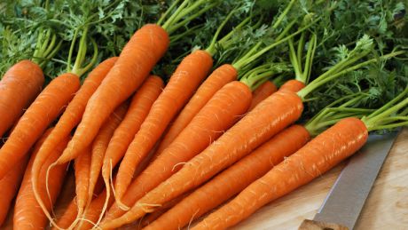 Warzywa korzeniowe - dlaczego warto je jeść
