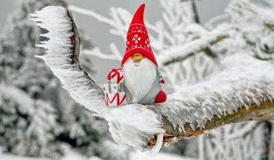 Co Mikołaj je na obiad, czyli kulinarne sekrety Finlandii