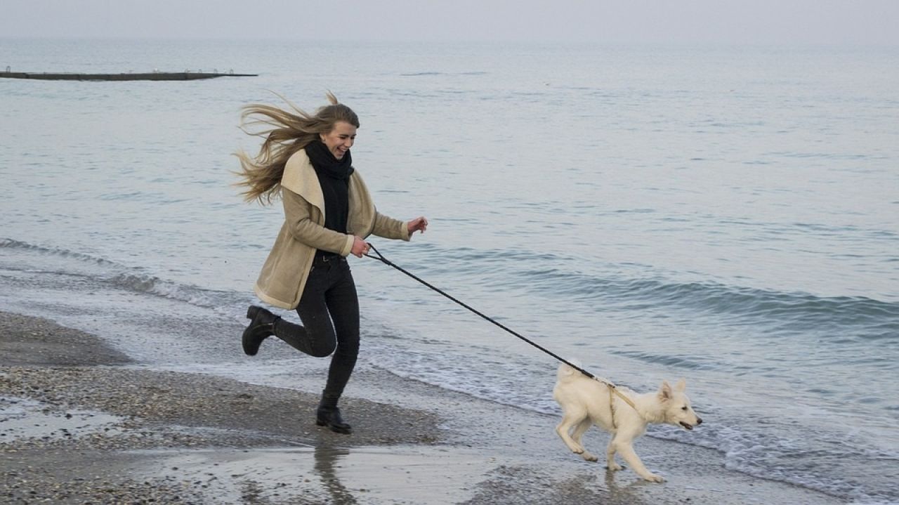 Bieganie i poranny spacer z psem. Czy to dobry pomysł?