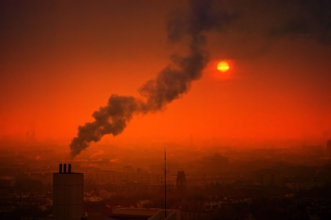 Czy warto zainwestować w oczyszczacz powietrza od smogu?