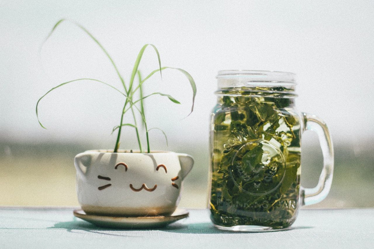 Czy zielona herbata na prawdę odmładza?