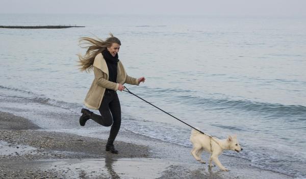 Bieganie i poranny spacer z psem. Czy to dobry pomysł?