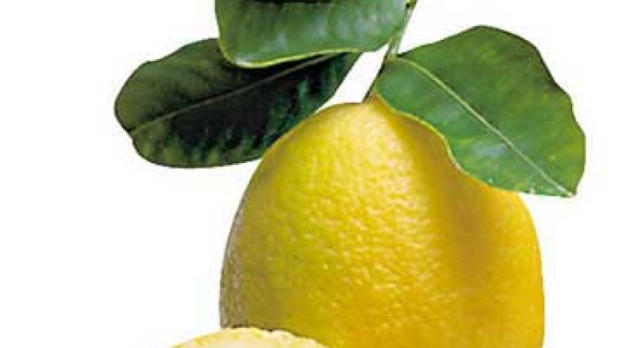 Pomarańcze Najważniejsza z witamin