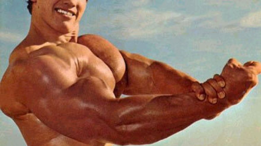 Jazda konna Arnold Schwarzenegger &#8211; Aktywator