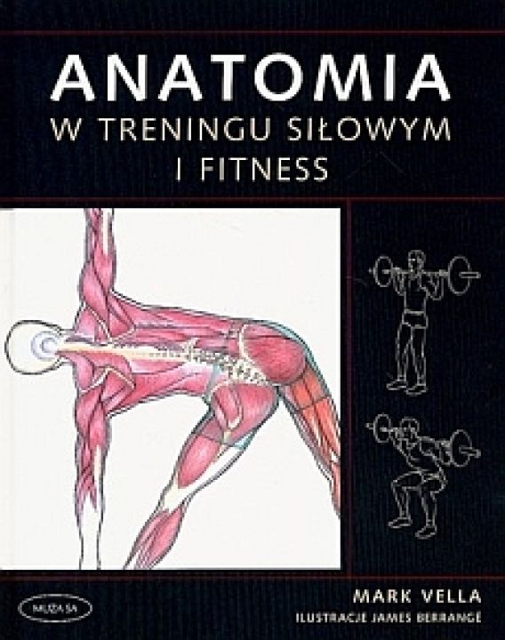 Anatomia w treningu siłowym i fitness