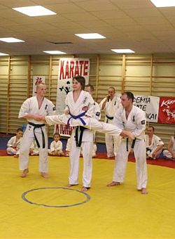 karate1