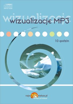 wizualizacje