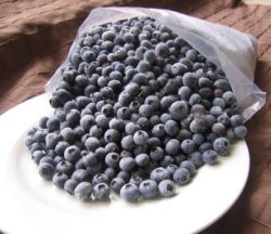 blueberries