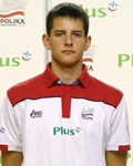 kurek