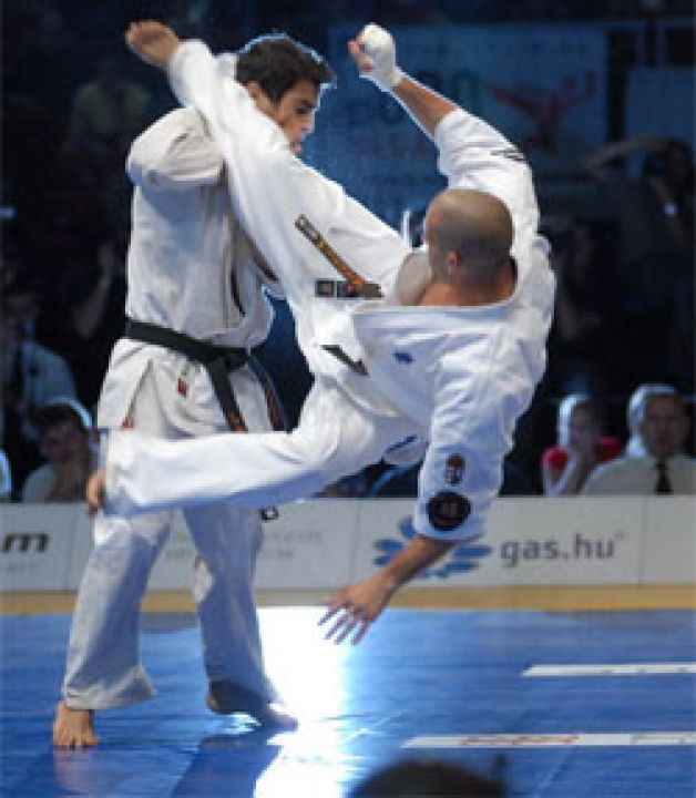 Otwarte Mistrzostwa Świata Karate Kyokushin