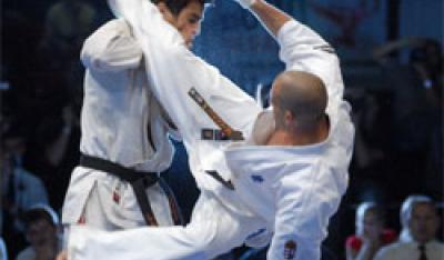 Otwarte Mistrzostwa Świata Karate Kyokushin