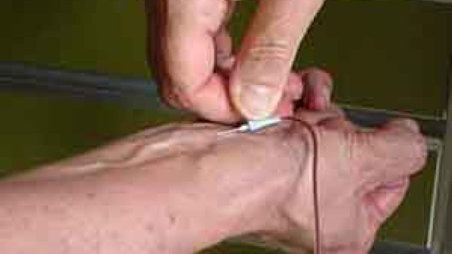 Badanie krwi Badanie poziomu cukru we krwi