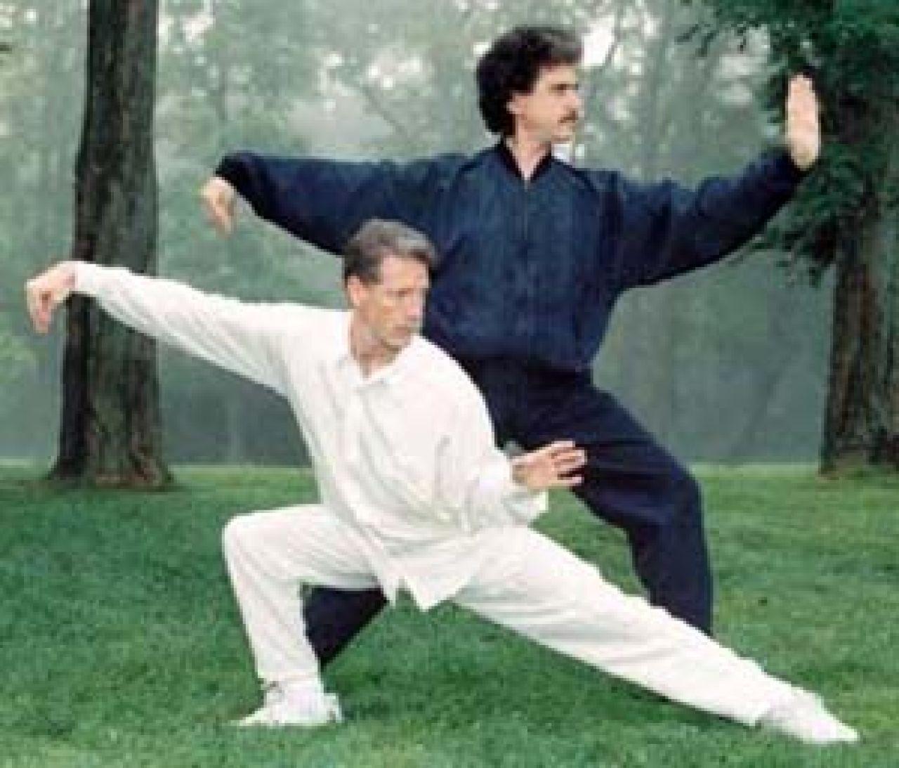 Instruktor Tai Chi