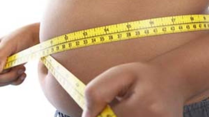 Przyczyny otyłości Nadwaga a otyłość