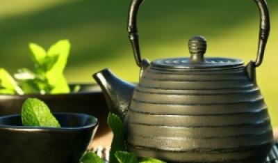 Zielona herbata pomaga w odchudzaniu?