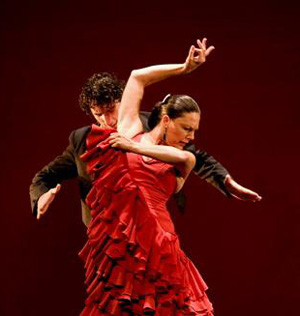 flamenco1 080524042157133 wideweb  300x316