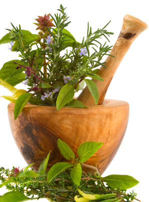 history-of-herbal-medicine s600x600