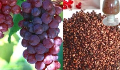 Suplementy z polifenolami a anemia