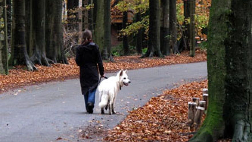 Jesienna depresja Koniec lata to nie koniec letniego nastroju