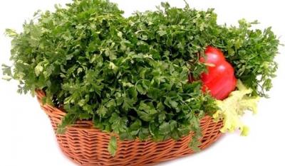 Natka pietruszki na przeziębienia