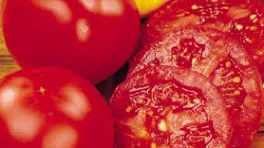 Właściwości pomidorów Jedzmy pomidory!