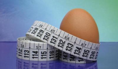 Dieta proteinowa