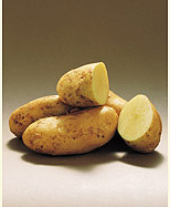 ziemniakd 02