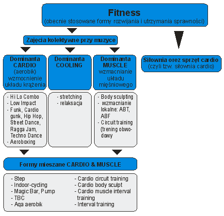 podzial fitness