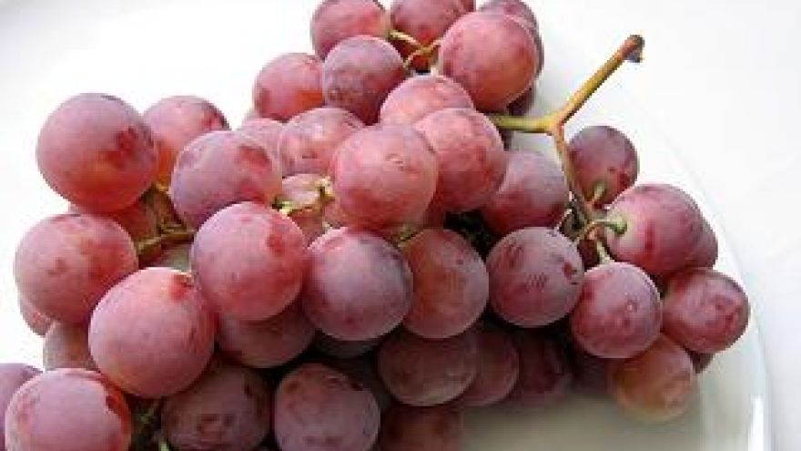 Winogrona Moc z winogron