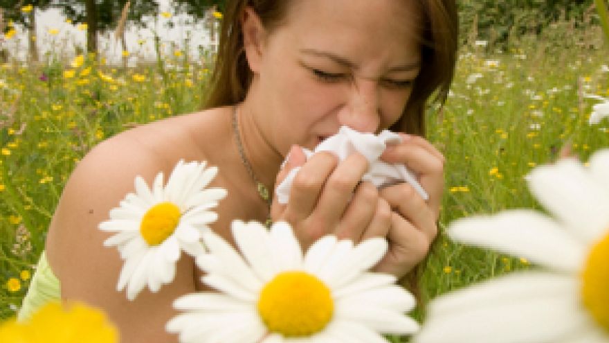 Atopowe zapalenie skóry Światowy Tydzień Alergii