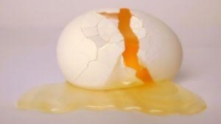 Joanna Anna Walczak Jajo pod lupą