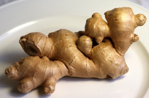 ginger2a(1)