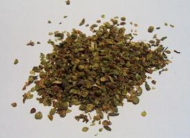 Oregano1