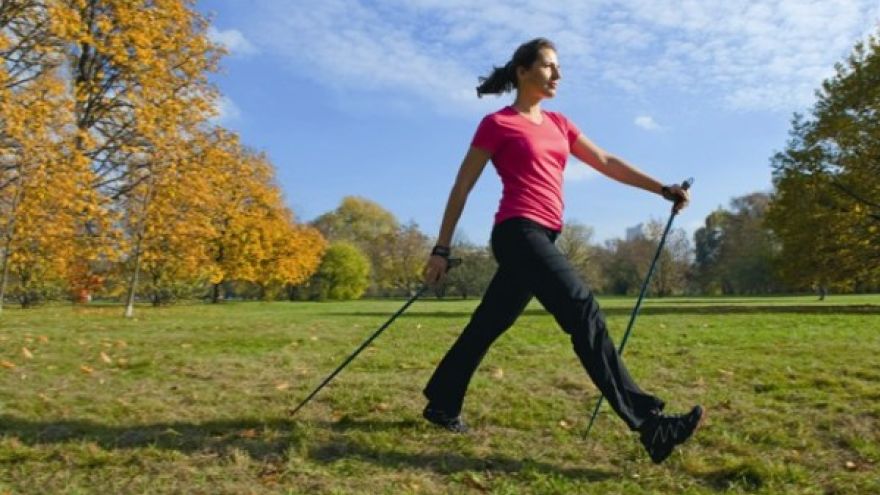 Spacer z kijami Nordic Walking  po Lesie Bemowskim