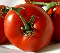 pomidor02