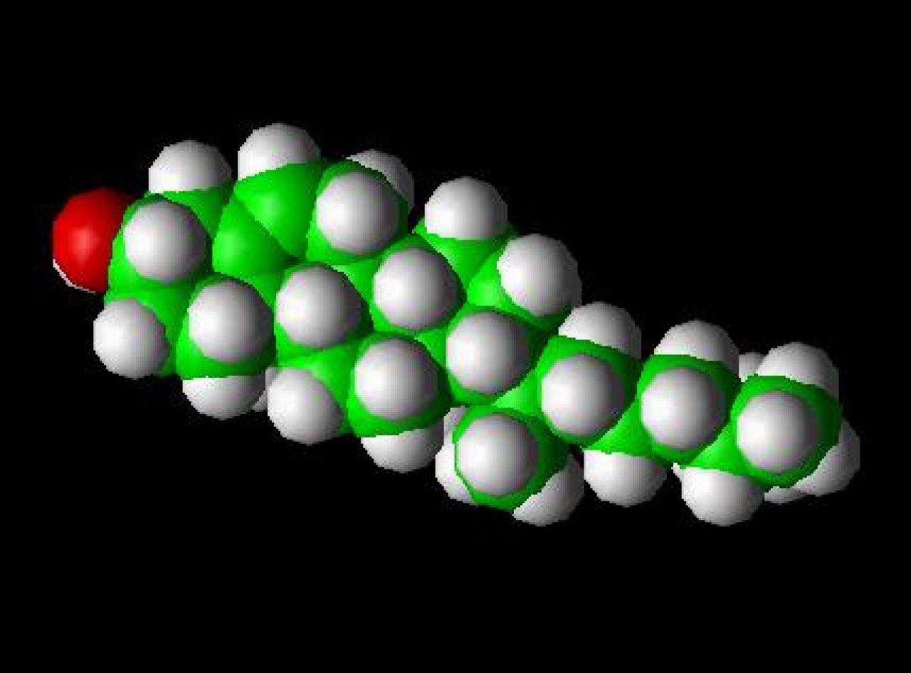 Cholesterol