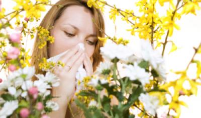 Katar sienny – przykra dolegliwość alergików